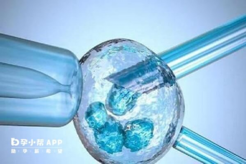 海南哪家医院可以做第三代试管婴儿