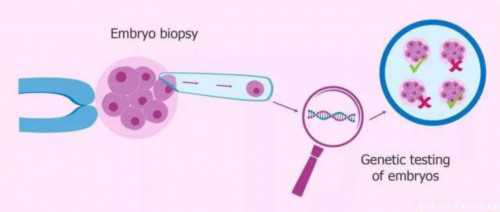 供卵公司-2026年国内试管婴儿中介机构大全，附中介公司防骗指南