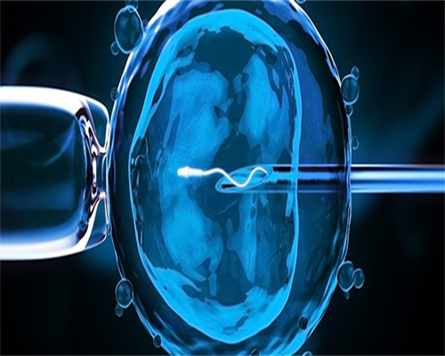 助孕捐卵机构-为什么海外试管比国内试管成功率要高很多？