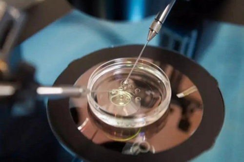 代生要多少钱:【地中海贫血症状】地中海贫血的症状