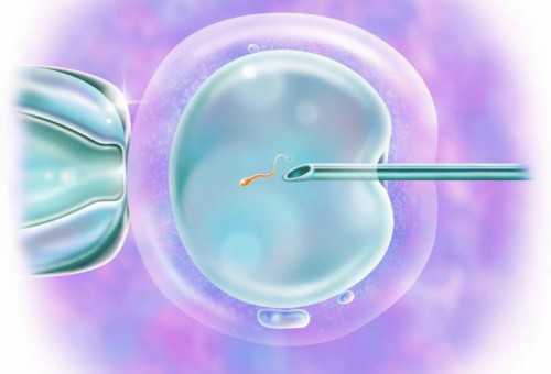取卵多质量会不会影响？试管取卵前一天泌乳素高？