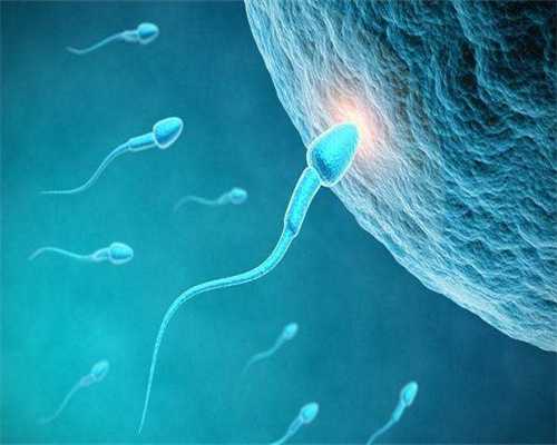 冷冻胚胎移植的步骤及解冻移植细节