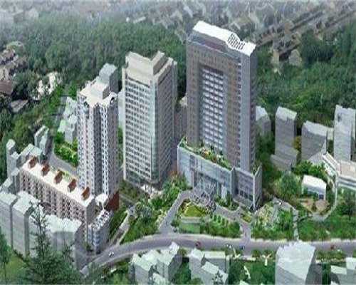 香港做试管婴儿需要哪些资料？