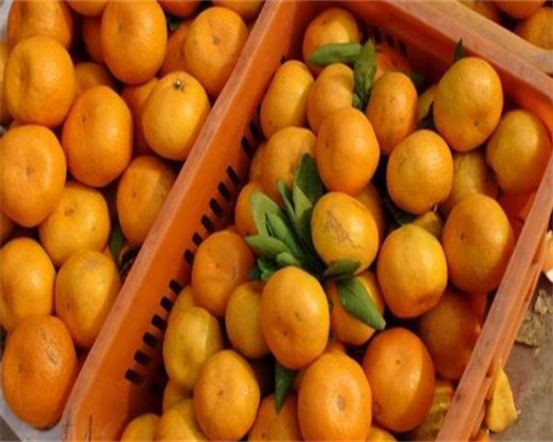 取卵后几天看胚胎结果