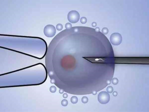 借卵保证成功-晚上盗汗怎么办