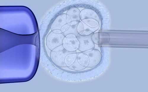 做妇科检查月经干净几天去（妇科检查多少钱）